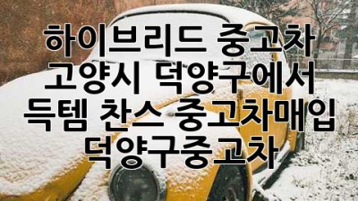 🚗 하이브리드 중고차, 고양시 덕양구에서 득템 찬스! #중고차매입 #덕양구중고차